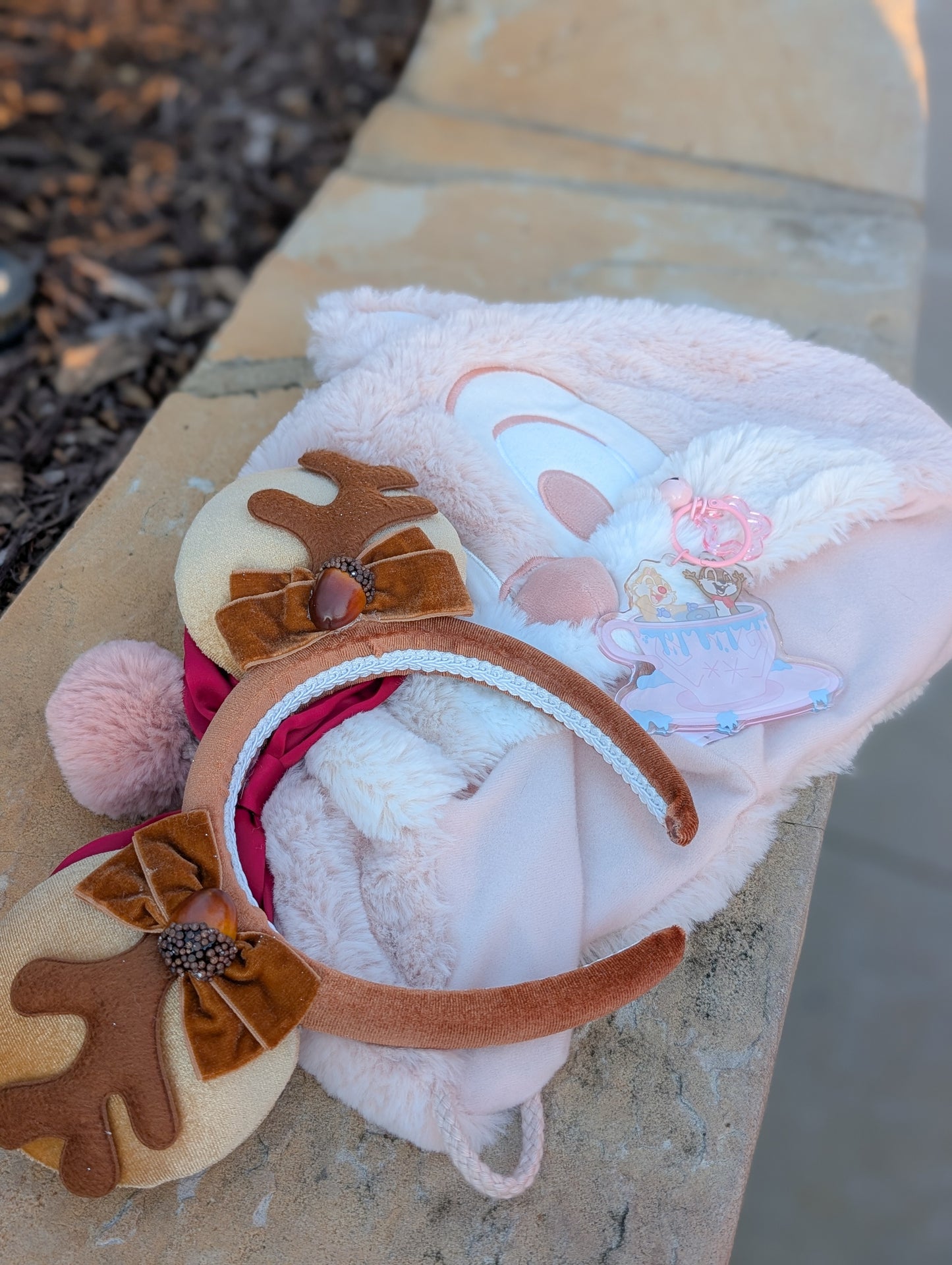 Better Together Ears