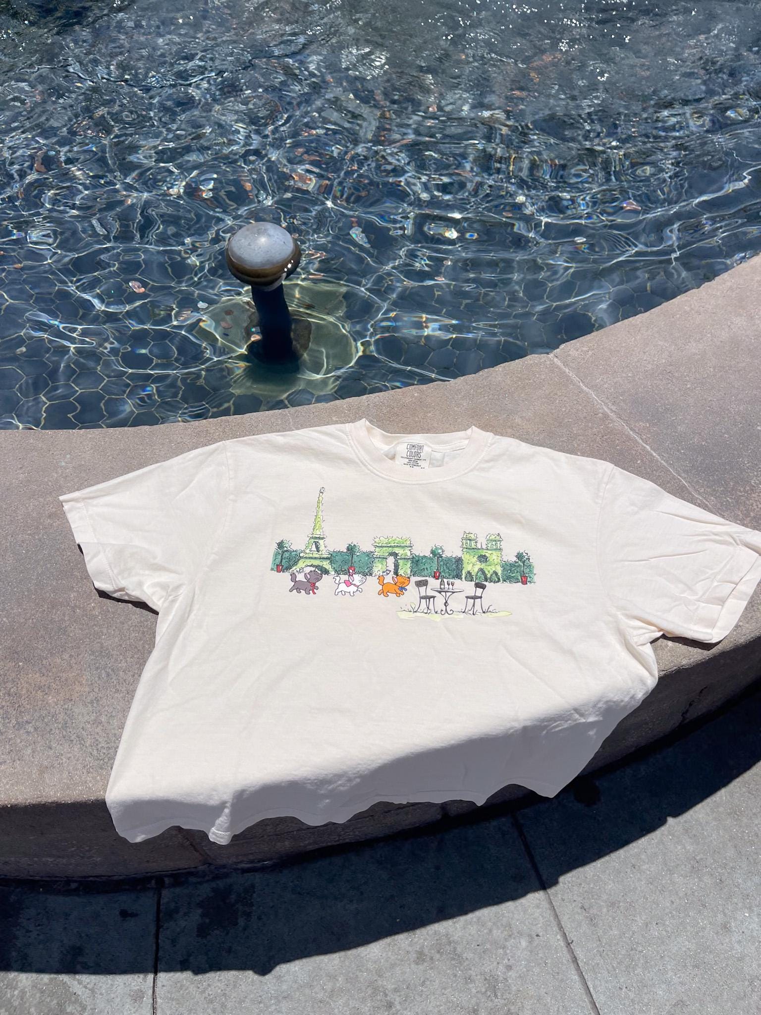 Aristocats Cafe Cropped Tee - Boxy Tee (Comfort Colors)