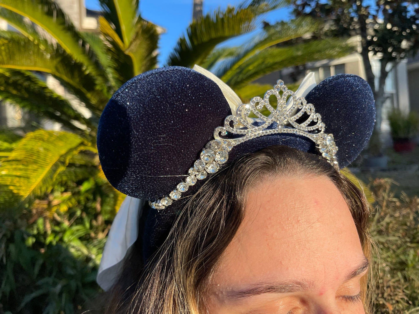 Found Princess Ears