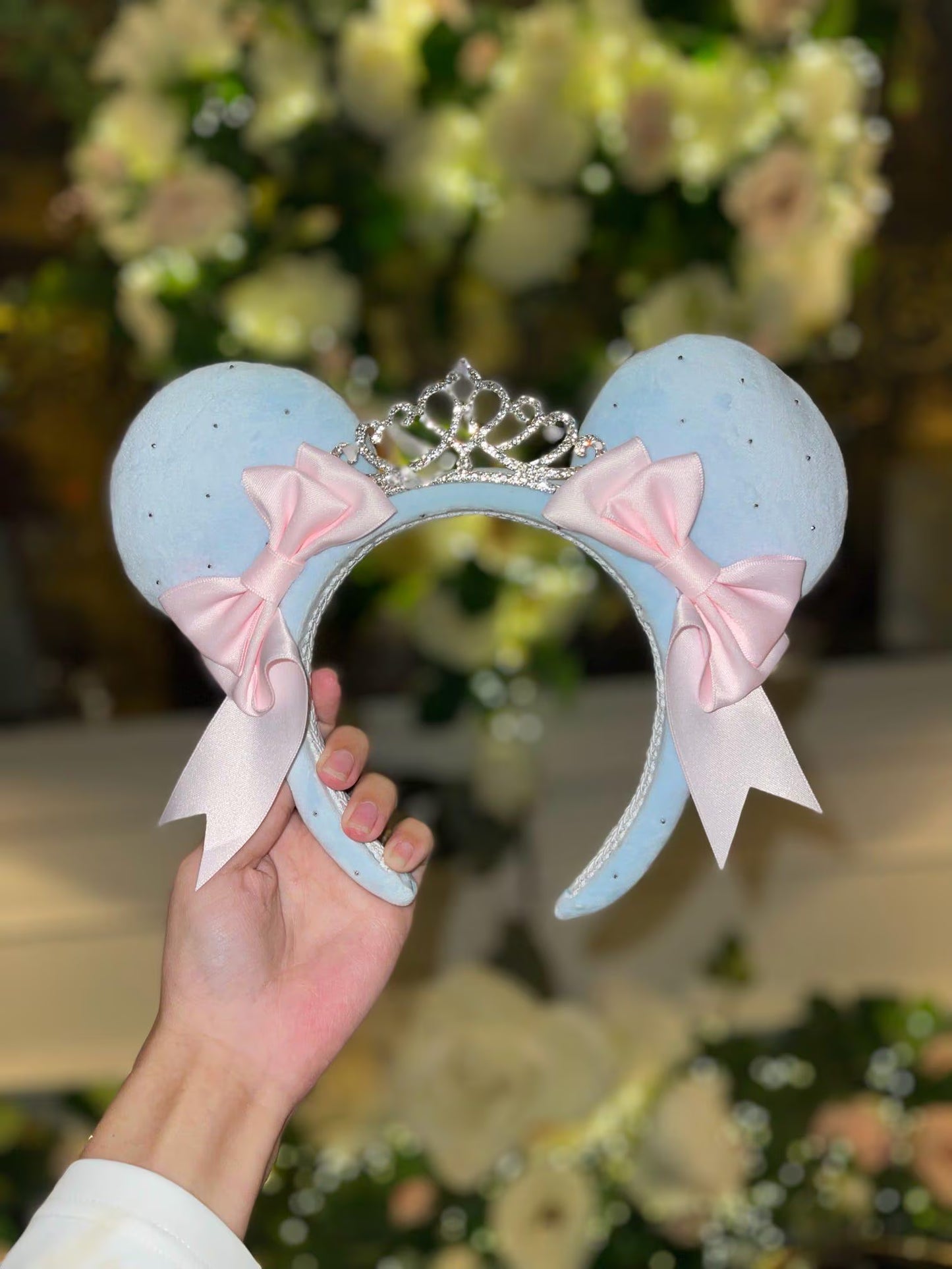 Me, A Princess? Ears