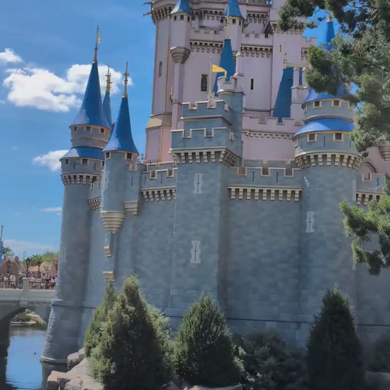 Magic Kingdom Cake Pin