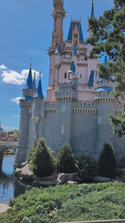 Magic Kingdom Cake Pin